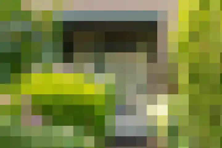 Borgsche Rieten 69 Terborg thumbnail 56
