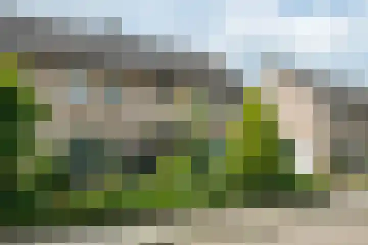 Borgsche Rieten 69 Terborg thumbnail 57