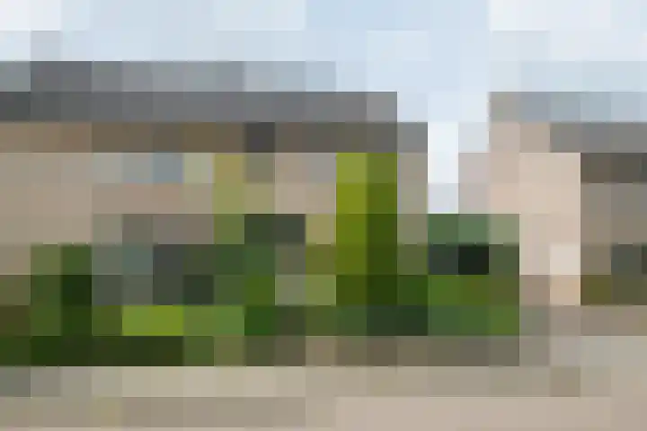 Borgsche Rieten 69 Terborg thumbnail 58