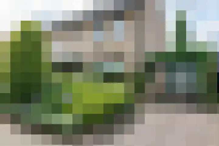 Borgsche Rieten 69 Terborg thumbnail 59