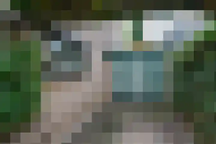 Borgsche Rieten 69 Terborg thumbnail 60