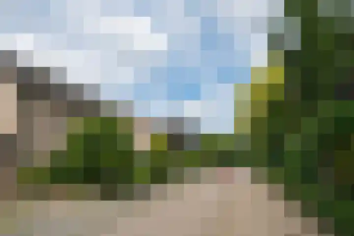 Borgsche Rieten 69 Terborg thumbnail 61