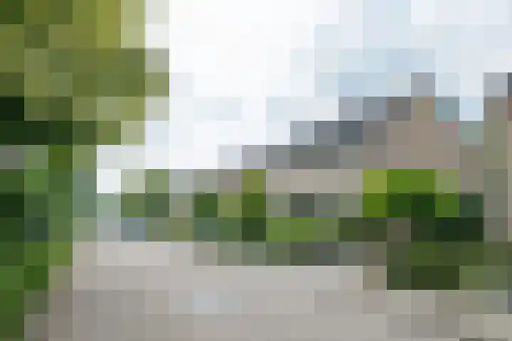 Borgsche Rieten 69 Terborg thumbnail 62