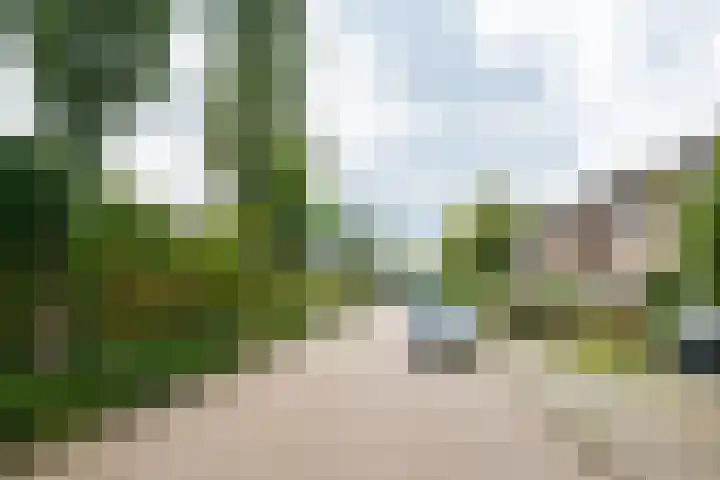 Borgsche Rieten 69 Terborg thumbnail 63