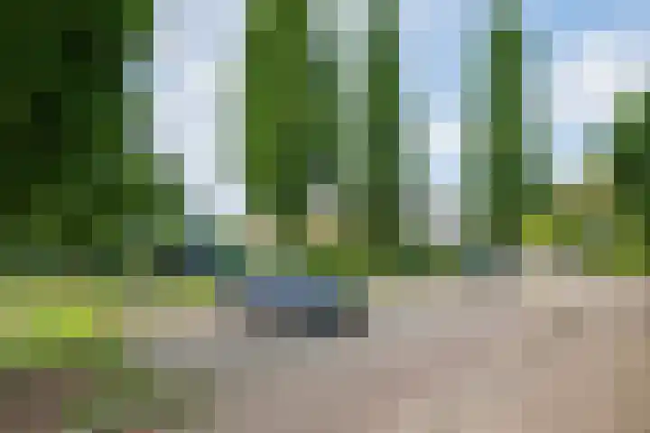Borgsche Rieten 69 Terborg thumbnail 64
