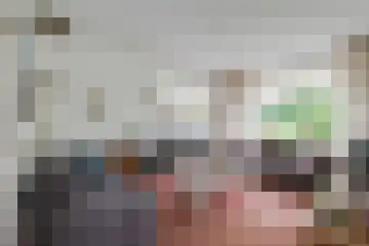 Borgsche Rieten 69 Terborg thumbnail 8