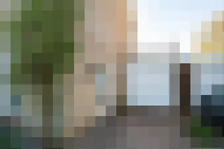 Borgsche Rieten 73 Terborg thumbnail 10