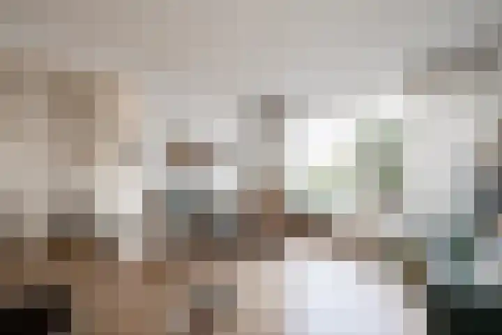 Borgsche Rieten 73 Terborg thumbnail 12