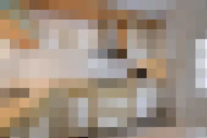 Borgsche Rieten 73 Terborg thumbnail 18