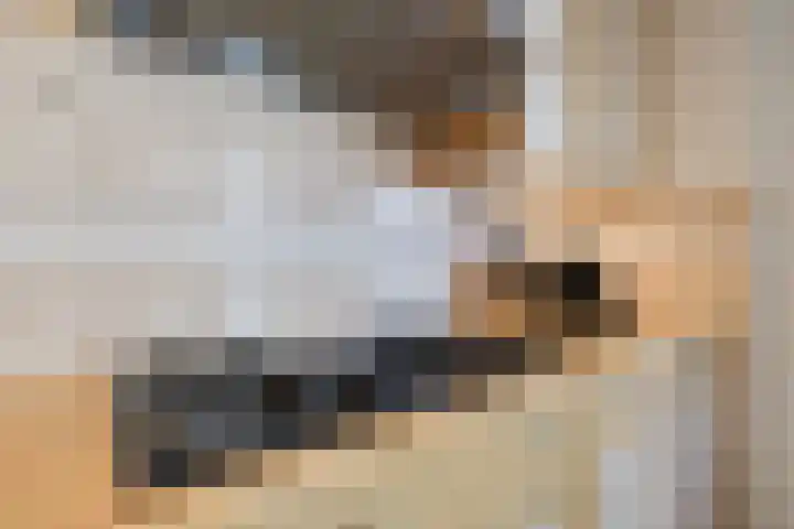 Borgsche Rieten 73 Terborg thumbnail 19