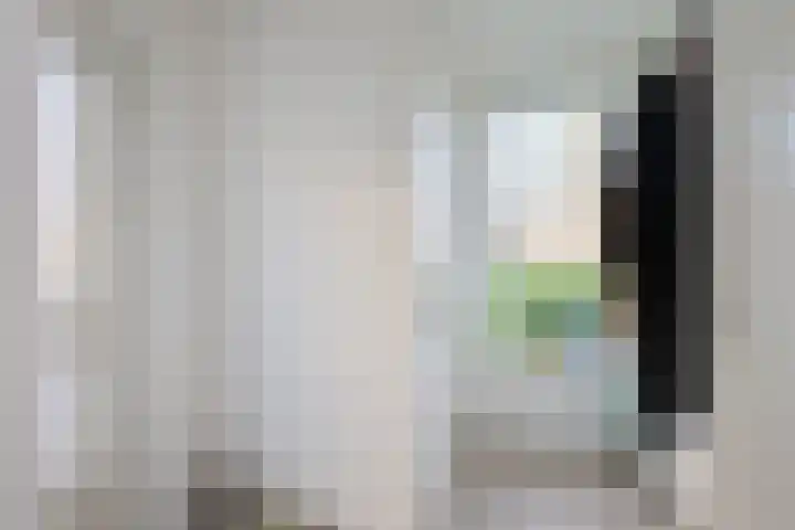 Borgsche Rieten 73 Terborg thumbnail 20