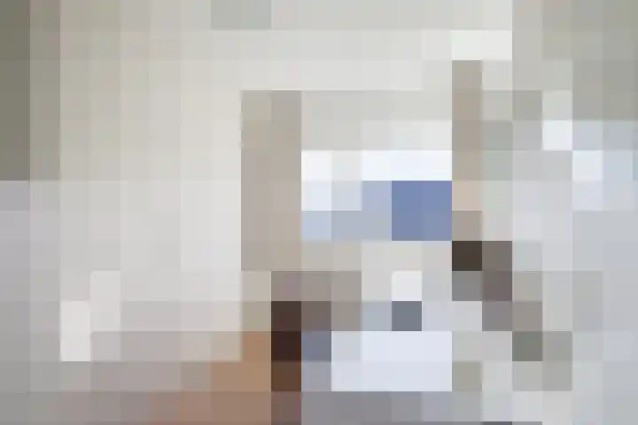 Borgsche Rieten 73 Terborg thumbnail 25