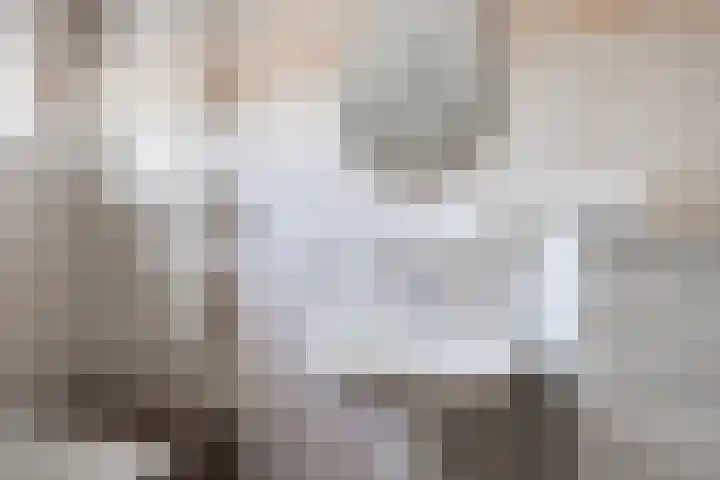 Borgsche Rieten 73 Terborg thumbnail 27