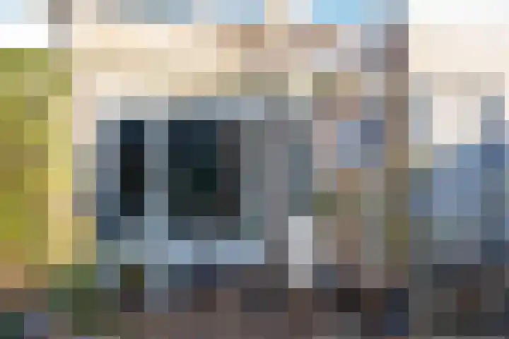 Borgsche Rieten 73 Terborg thumbnail 36