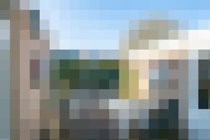 Borgsche Rieten 73 Terborg thumbnail 37