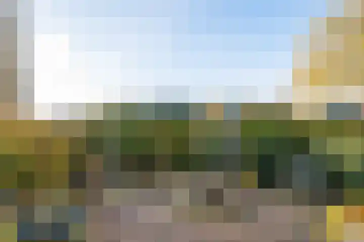 Borgsche Rieten 73 Terborg thumbnail 38