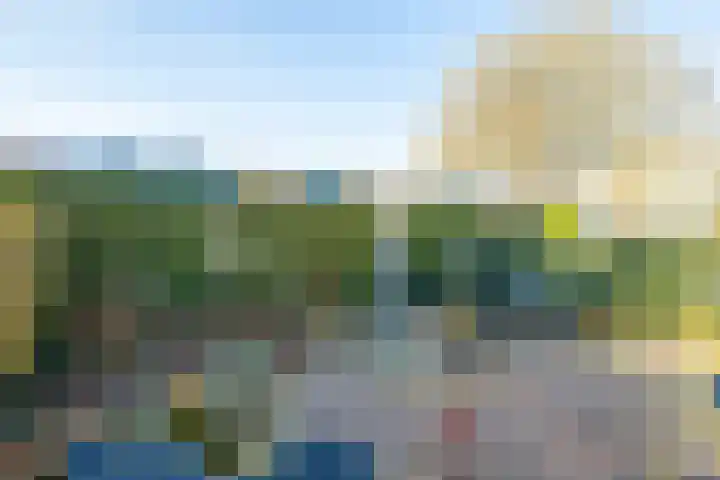 Borgsche Rieten 73 Terborg thumbnail 39