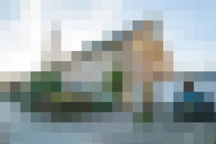 Borgsche Rieten 73 Terborg thumbnail 4