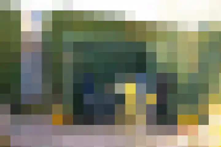Borgsche Rieten 73 Terborg thumbnail 40