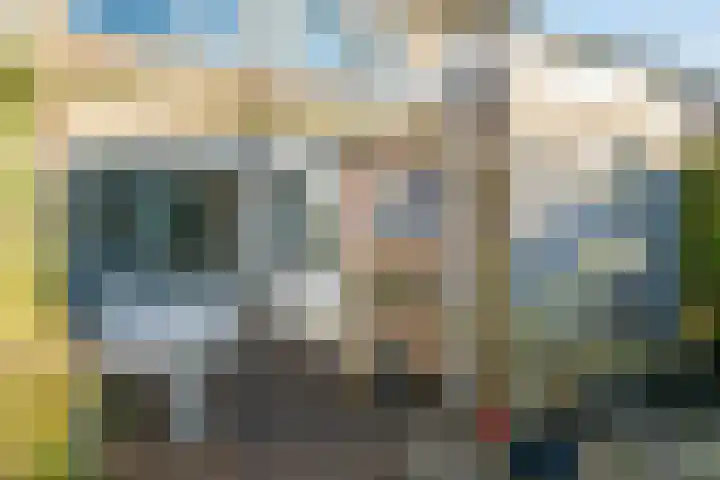 Borgsche Rieten 73 Terborg thumbnail 42