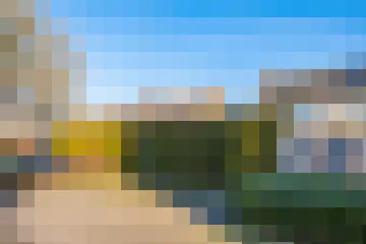 Borgsche Rieten 73 Terborg thumbnail 43