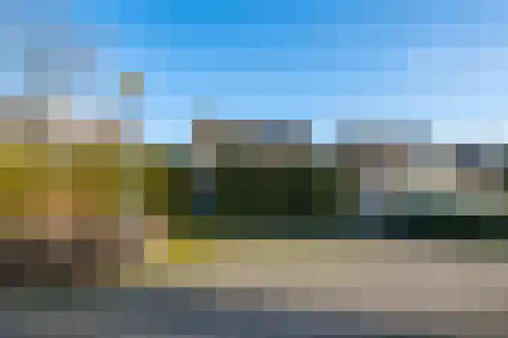 Borgsche Rieten 73 Terborg thumbnail 44