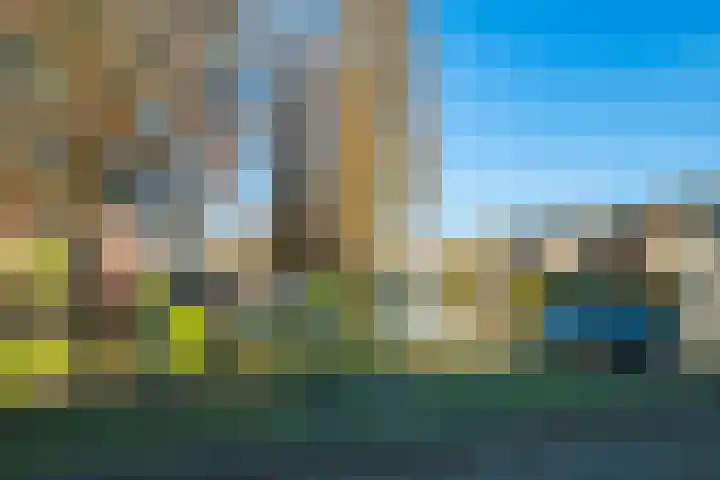 Borgsche Rieten 73 Terborg thumbnail 45