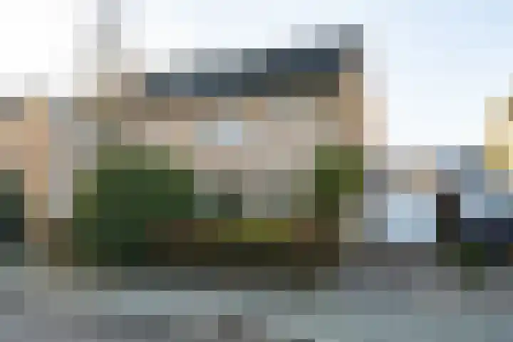 Borgsche Rieten 73 Terborg thumbnail 46