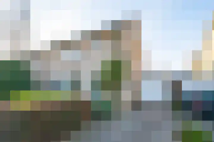 Borgsche Rieten 73 Terborg thumbnail 48