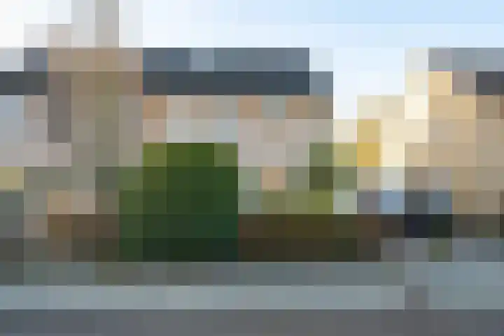Borgsche Rieten 73 Terborg thumbnail 5