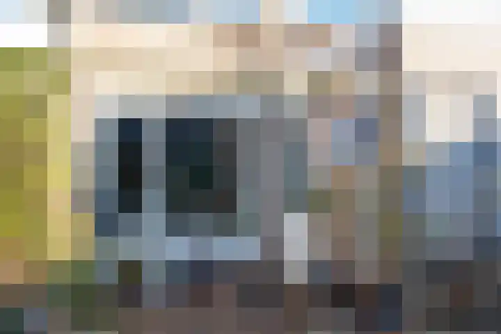 Borgsche Rieten 73 Terborg thumbnail 50