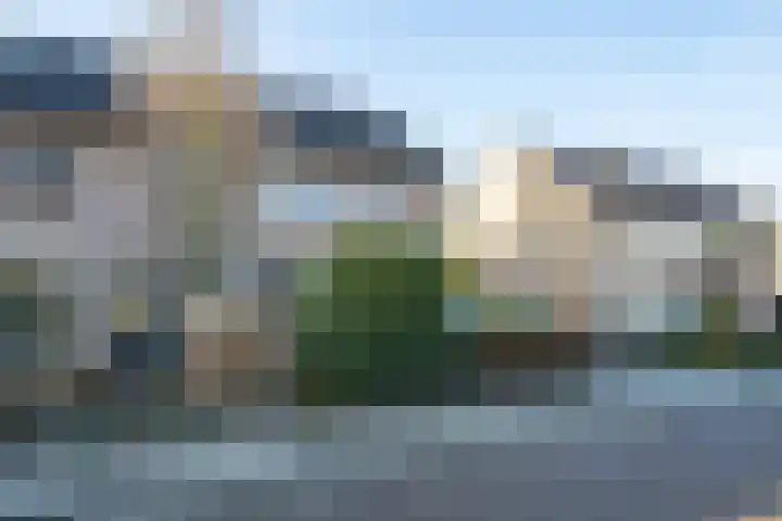 Borgsche Rieten 73 Terborg thumbnail 6