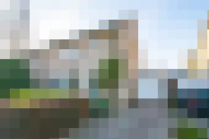 Borgsche Rieten 73 Terborg thumbnail 7