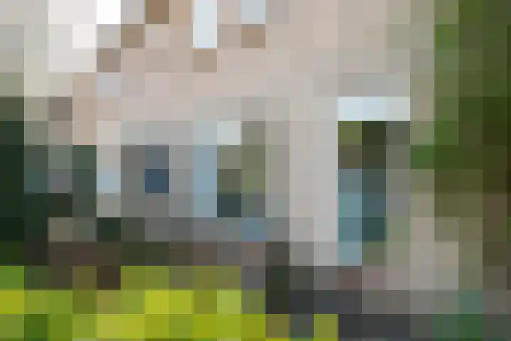 Borgsche Rieten 73 Terborg thumbnail 8