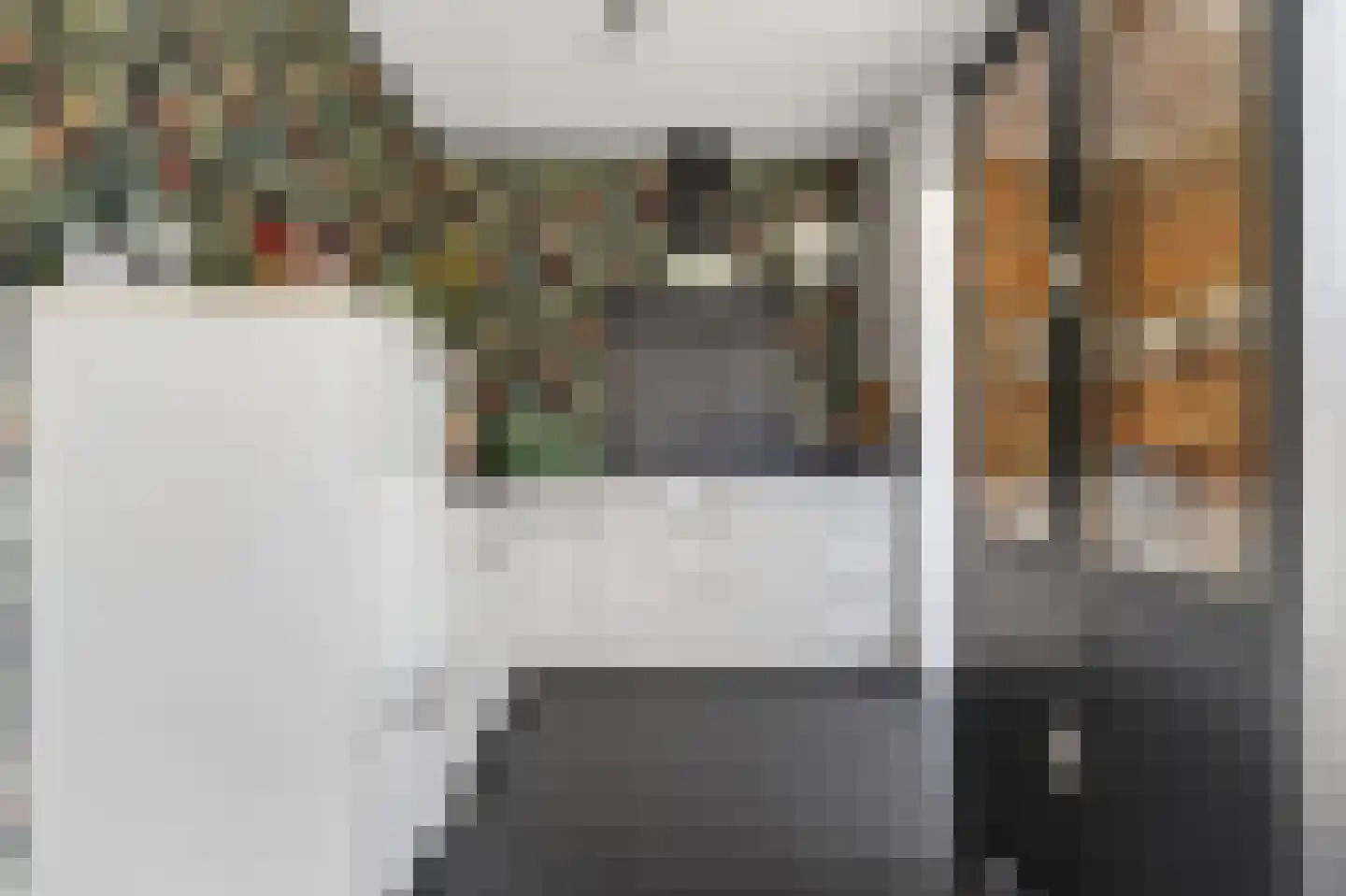 Borgsche Rieten 95 Terborg thumbnail 10