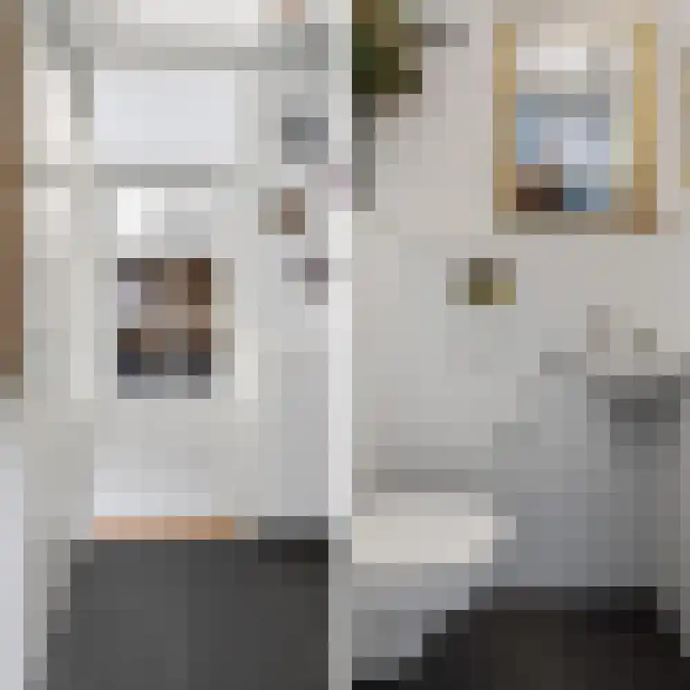 Borgsche Rieten 95 Terborg thumbnail 14