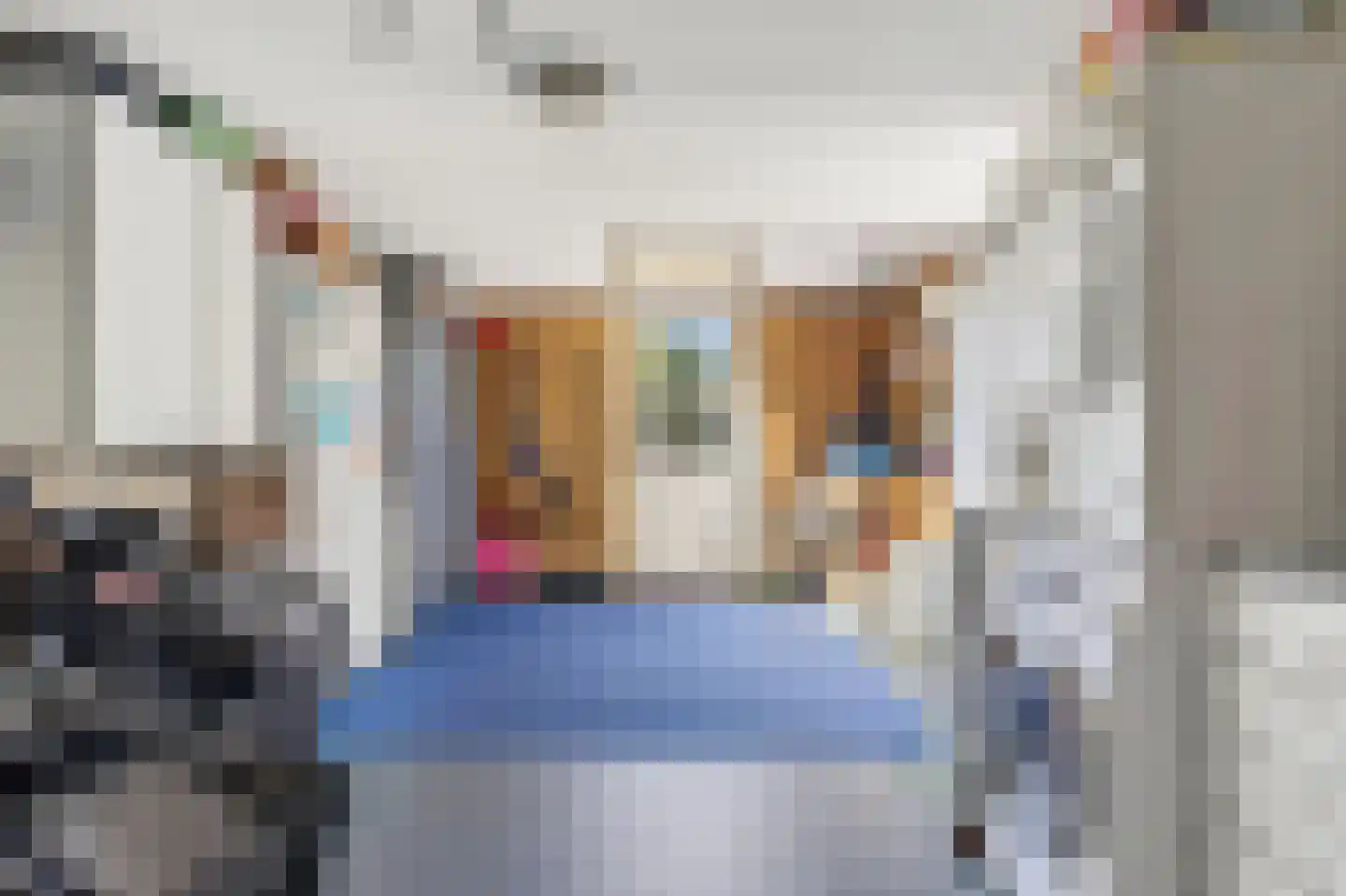 Borgsche Rieten 95 Terborg thumbnail 16