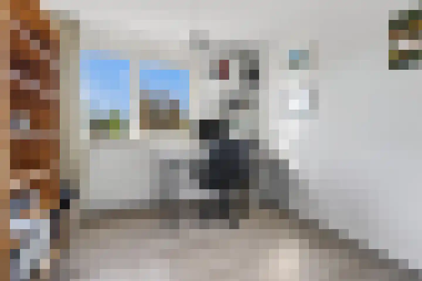 Borgsche Rieten 95 Terborg thumbnail 19