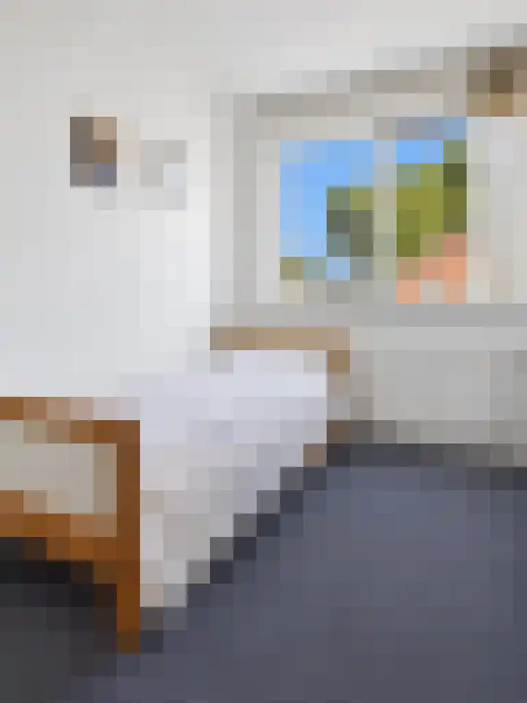Borgsche Rieten 95 Terborg thumbnail 21