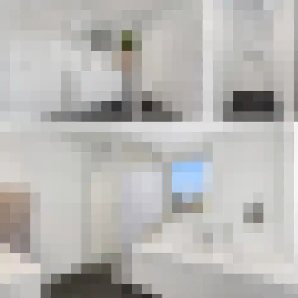 Borgsche Rieten 95 Terborg thumbnail 23