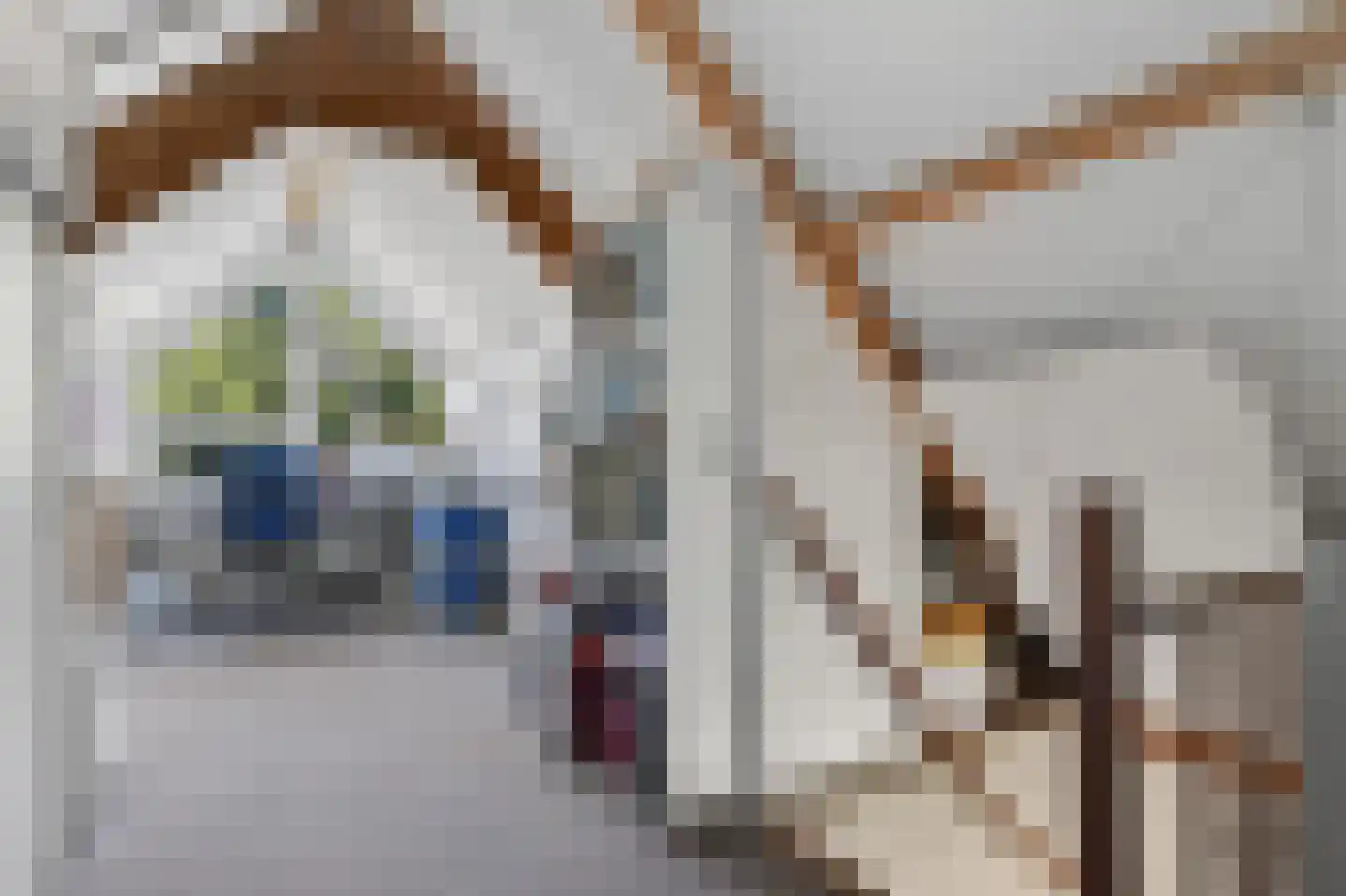 Borgsche Rieten 95 Terborg thumbnail 24