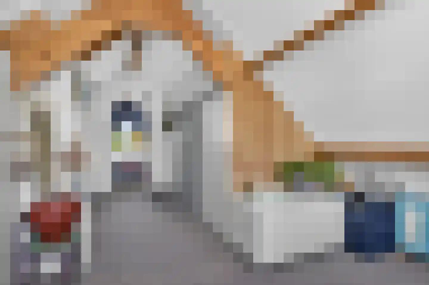 Borgsche Rieten 95 Terborg thumbnail 26