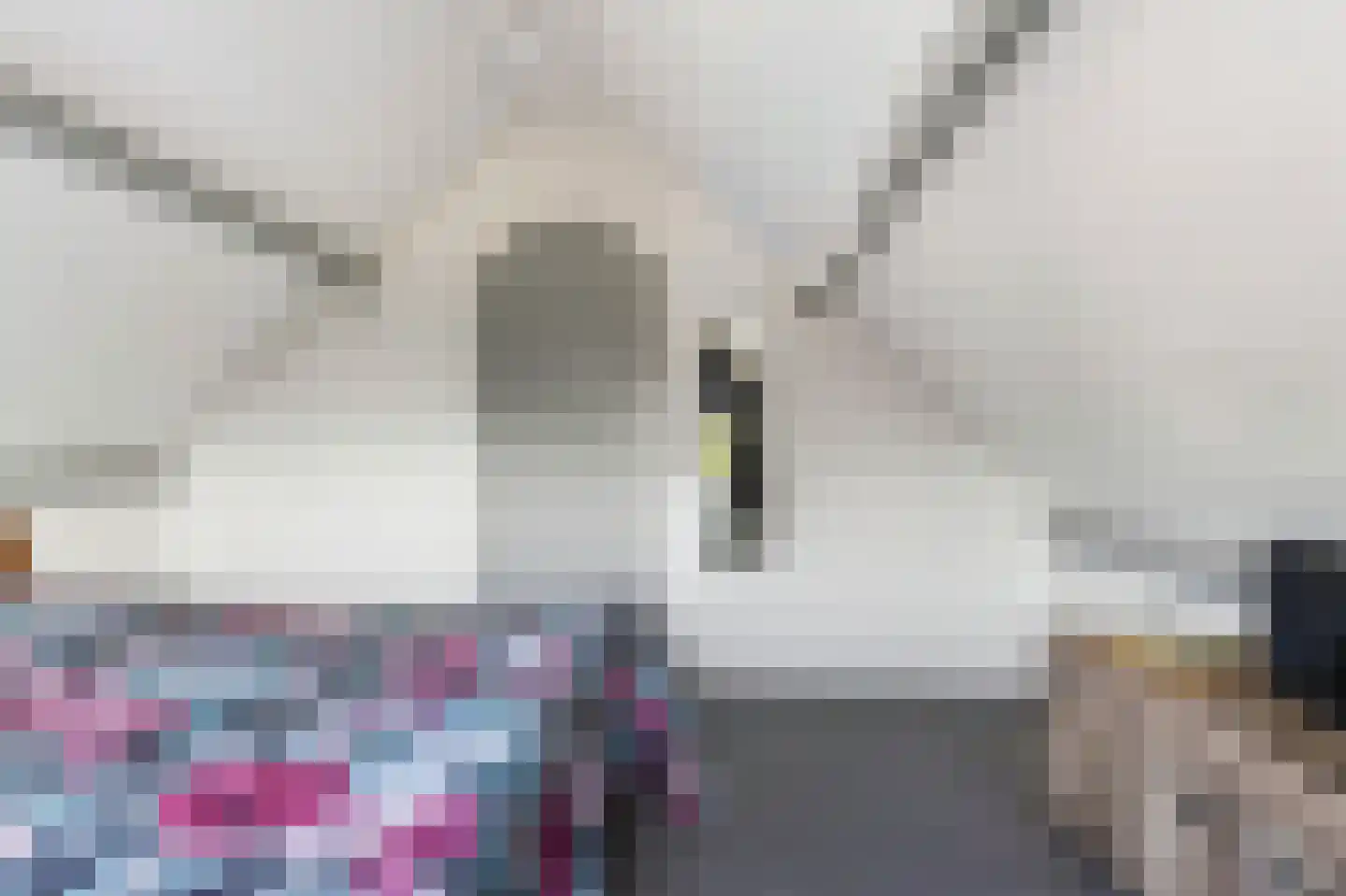 Borgsche Rieten 95 Terborg thumbnail 28
