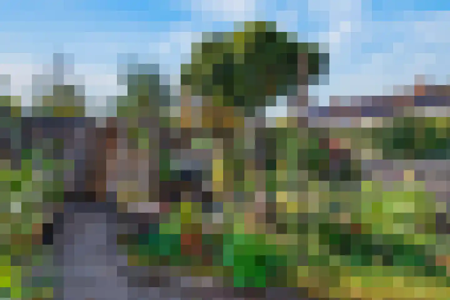 Borgsche Rieten 95 Terborg thumbnail 30