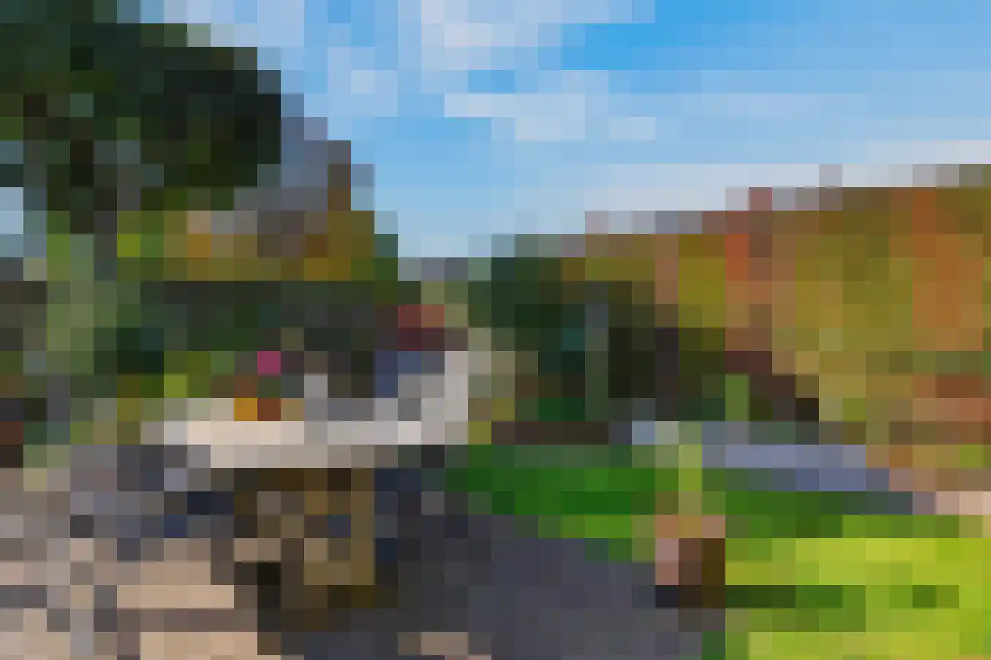 Borgsche Rieten 95 Terborg thumbnail 31