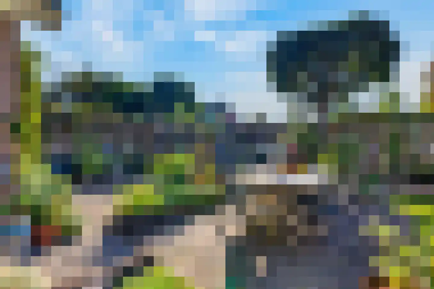 Borgsche Rieten 95 Terborg thumbnail 32