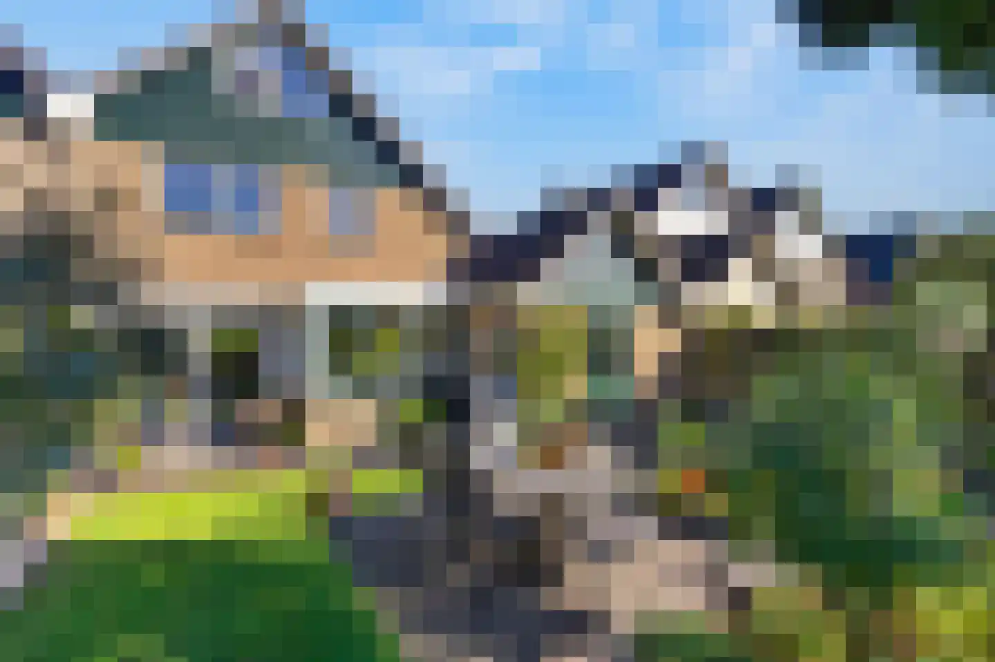 Borgsche Rieten 95 Terborg thumbnail 33
