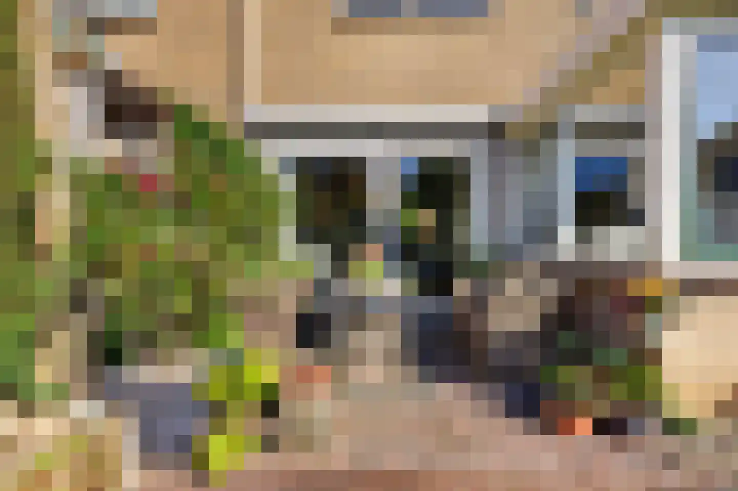 Borgsche Rieten 95 Terborg thumbnail 35