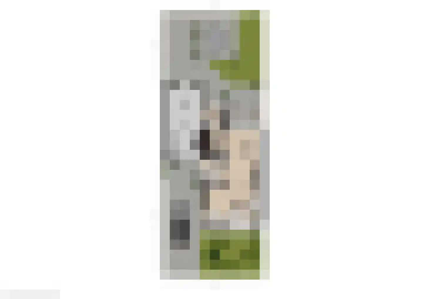 Borgsche Rieten 95 Terborg thumbnail 41