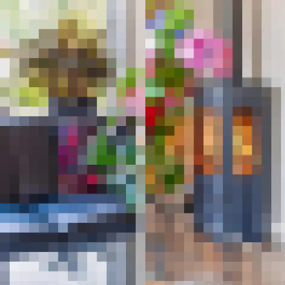 Borgsche Rieten 95 Terborg thumbnail 5